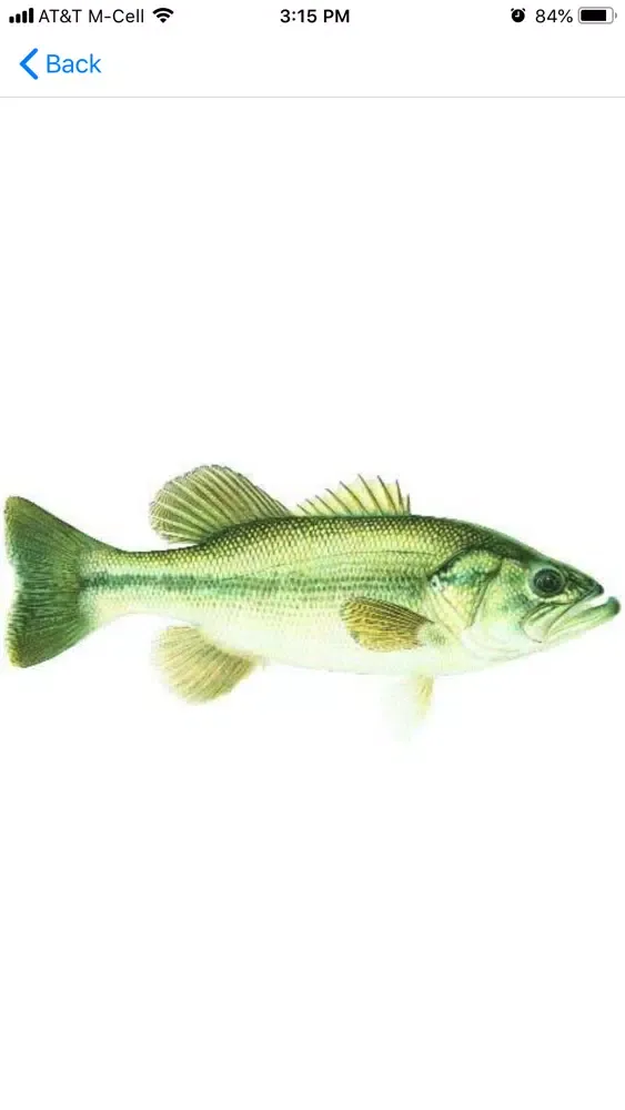 Скриншоты Walk In Public Fishing Kansas
