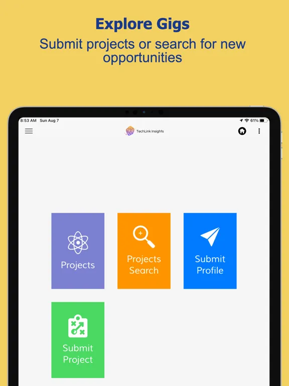 Ảnh chụp màn hình của TechLink Insights iPad 