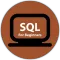 SQL For Beginners