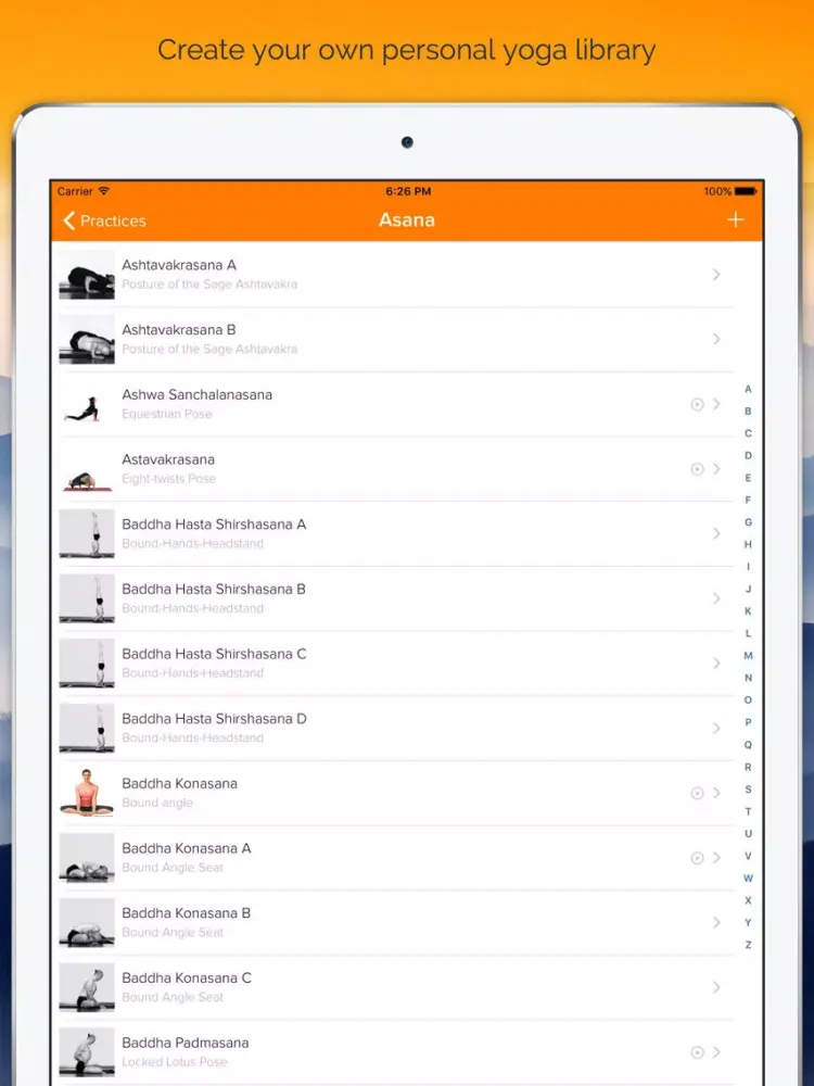 Yoga Insight - Yoga Tracker, Library & Log for Daily Sadhana Practice iPad 应用截图