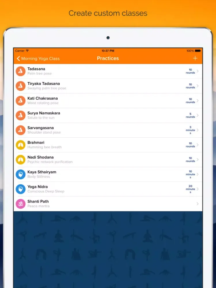 Yoga Insight - Yoga Tracker, Library & Log for Daily Sadhana Practice iPad 应用截图