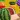 Fruit Cutter Pro
