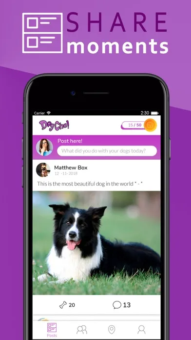 تصاویر DogCha!