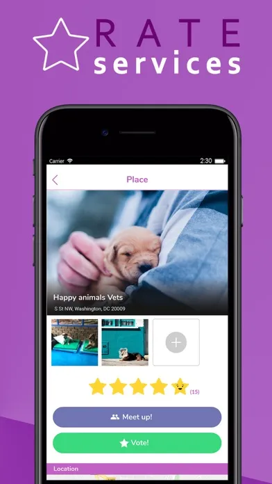 تصاویر DogCha!