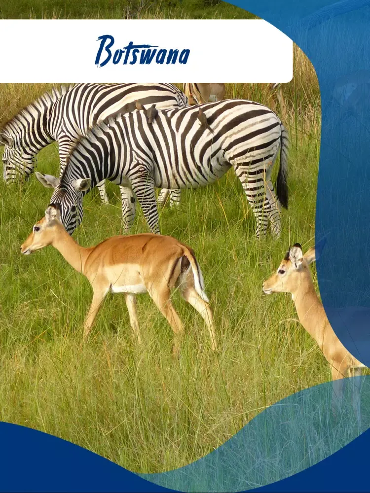 Visit Botswana iPad  Screenshots