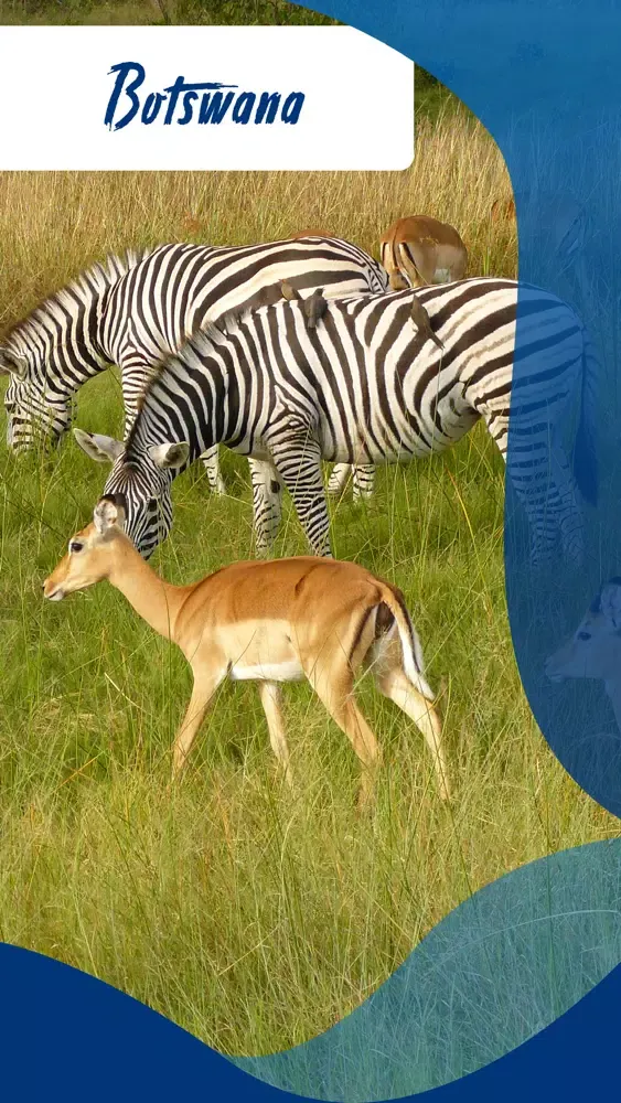 Visit Botswana Screenshots