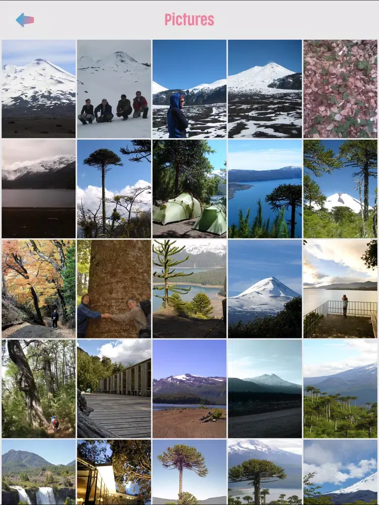 Conguillio National Park iPad  স্ক্রিনশট