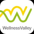 Wellness Valley