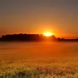 Nature Wallpapers Free & HD