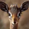 Easy Deer Hunting Calls: Sound