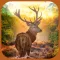 3D Ultimate Deer Hunter -