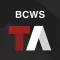 Tactical Analyst BCWS