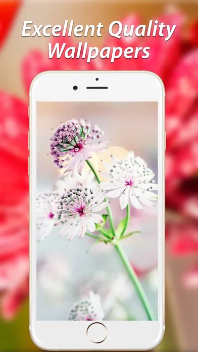 صور Amazing Flower Wallpapers HD