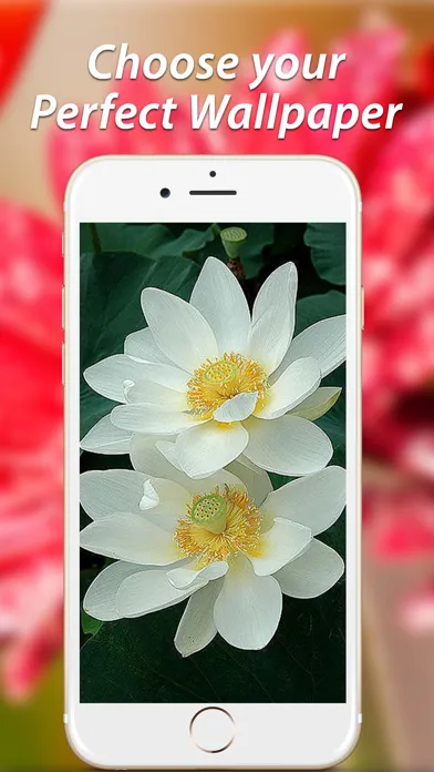 صور Amazing Flower Wallpapers HD