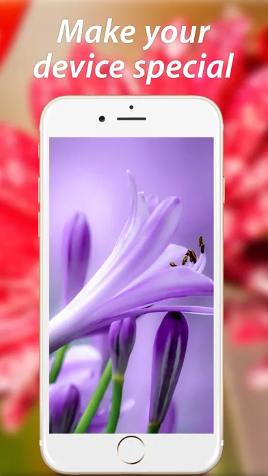 صور Amazing Flower Wallpapers HD