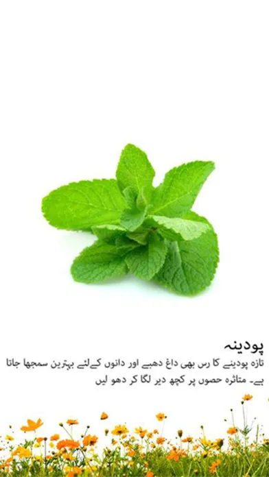 Urdu Totkay - Home Remedies & Beauty Tips Ekran Görüntüleri