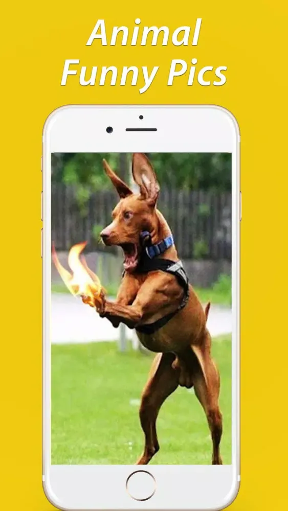 Capturas de pantalla de Funny Pics LOL Wallpapers