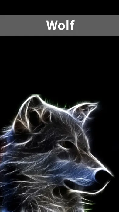 Amazing Wolf Wallpapers スクリーンショット