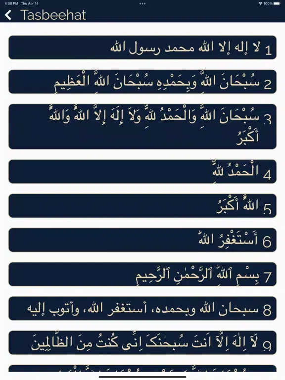 Al Islamic iPad  Screenshots