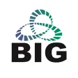 BIG