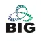 BIG