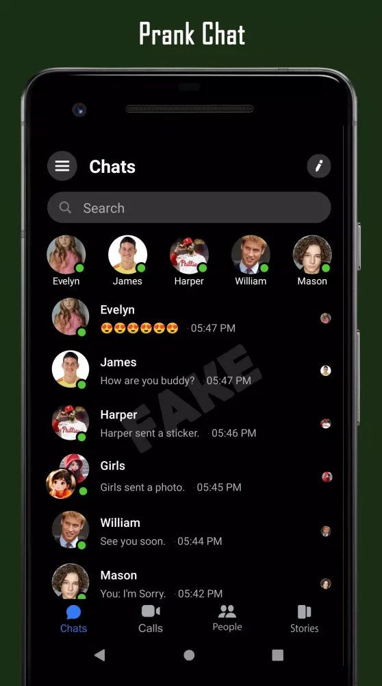 صور Fake Chat