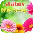 Status tam trang