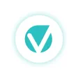 ViGIE ViGIE
