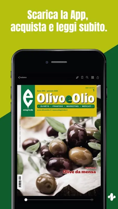 Olivo e Olio Screenshots