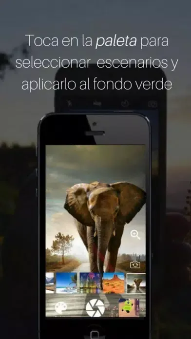 Tecno Boda Screenshots
