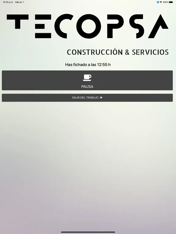 Zrzuty ekranu MisRegistros iPad 