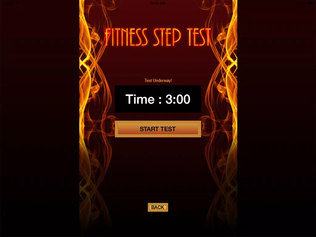 Tangkapan skrin Fitness Step Test- VO2max iPad 