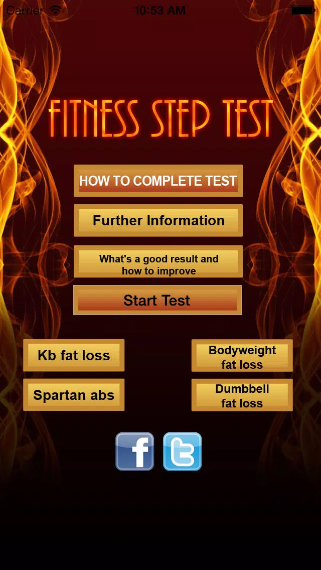 Tangkapan skrin Fitness Step Test- VO2max