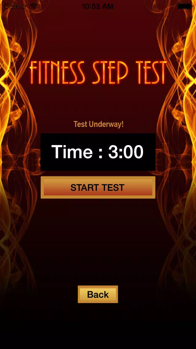 Tangkapan skrin Fitness Step Test- VO2max