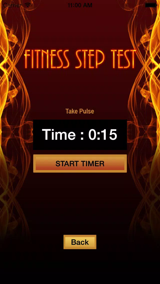 Tangkapan skrin Fitness Step Test- VO2max