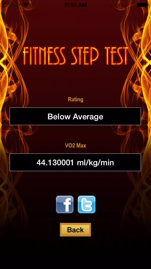 Tangkapan skrin Fitness Step Test- VO2max