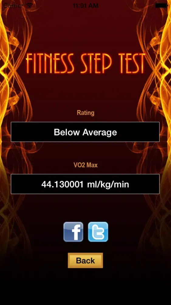 Fitness Step Test- VO2max應用截圖