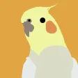 Pied Draw