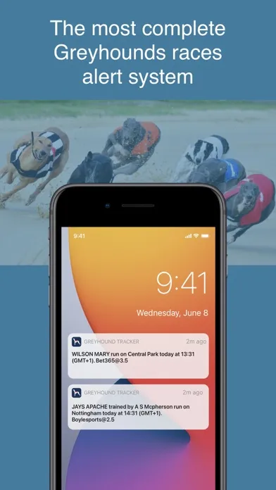 Captures d'écran de Greyhound Racing Tracker