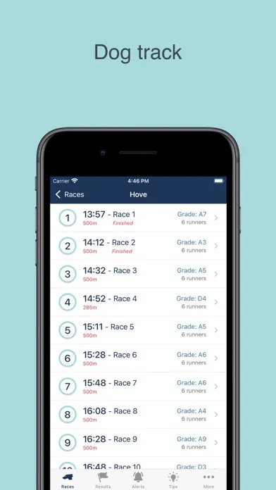 Captures d'écran de Greyhound Racing Tracker