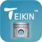 Teikin Piston