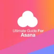 Ultimate Guide For Asana:Team Tasks & Conversation