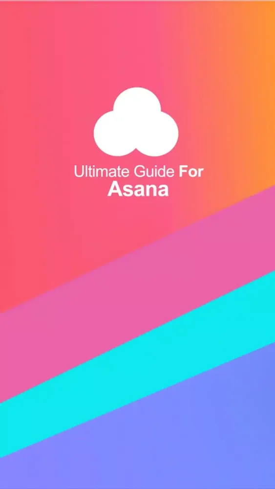 Ultimate Guide For Asana:Team Tasks & Conversation Screenshots