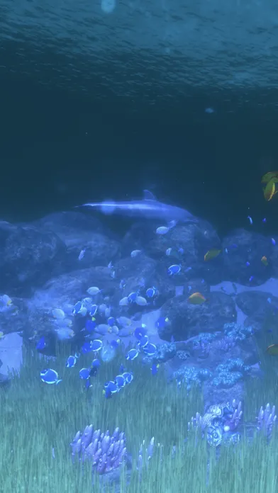 Coral Reef HD Ekran Görüntüleri