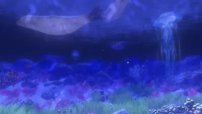 Coral Reef HD Ekran Görüntüleri