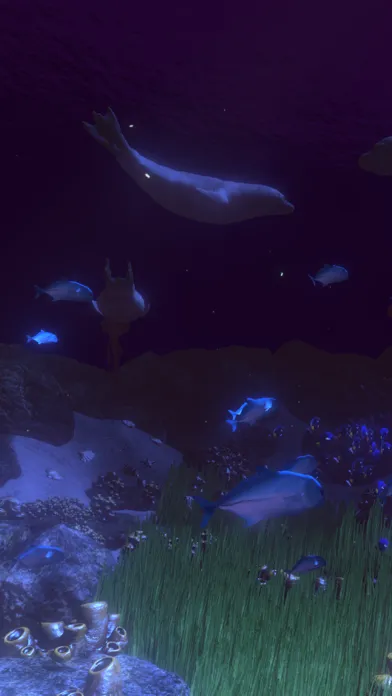 Coral Reef HD Ekran Görüntüleri