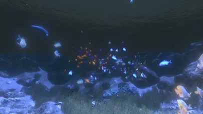Coral Reef HD Ekran Görüntüleri