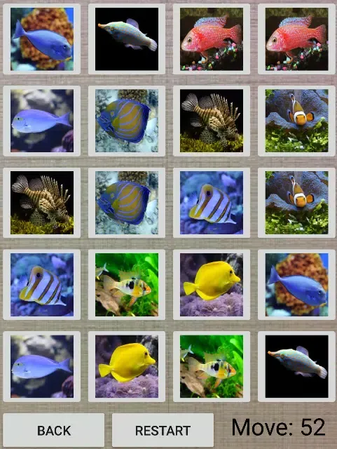 Fun Memory Practice應用截圖