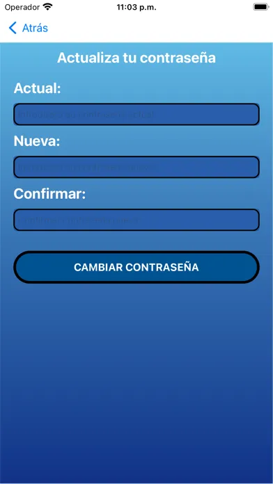 Centro Educativo Vanderbilt スクリーンショット