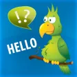 Call Voice Changer - IntCall Call Voice Changer - IntCall